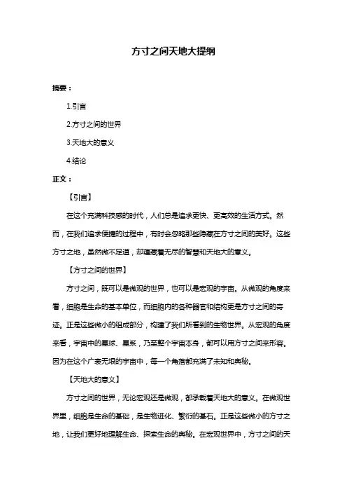 方寸之间天地大提纲