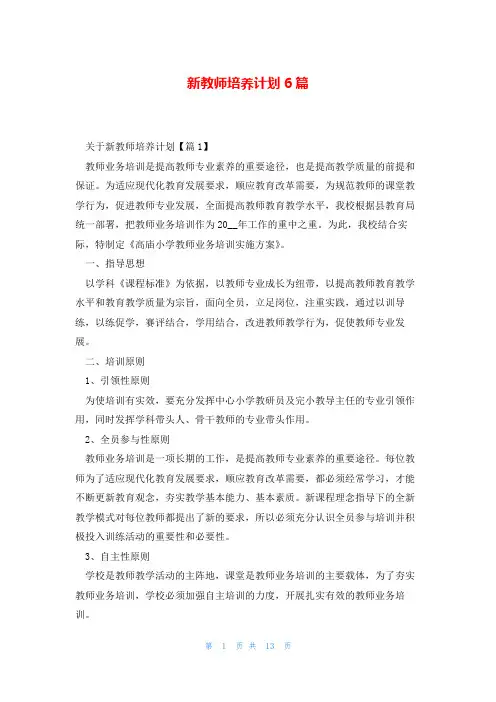 新教师培养计划6篇