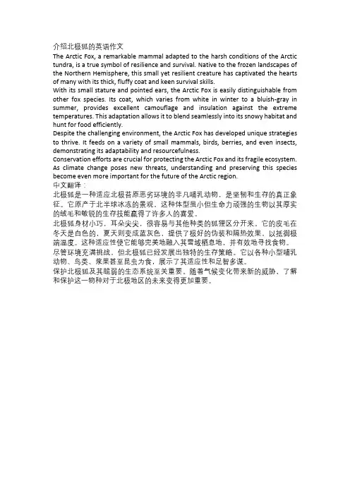 介绍北极狐的英语作文