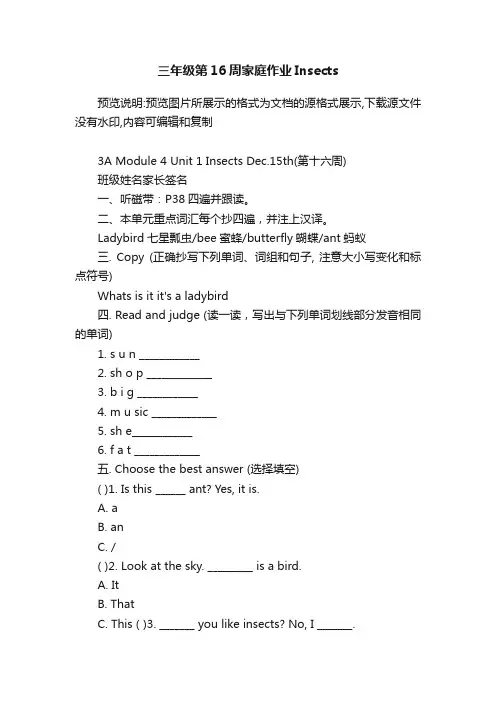 三年级第16周家庭作业Insects