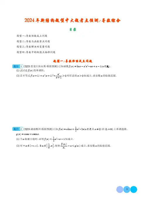 2024年新结构题型中大题考点预测：导数综合 学生版