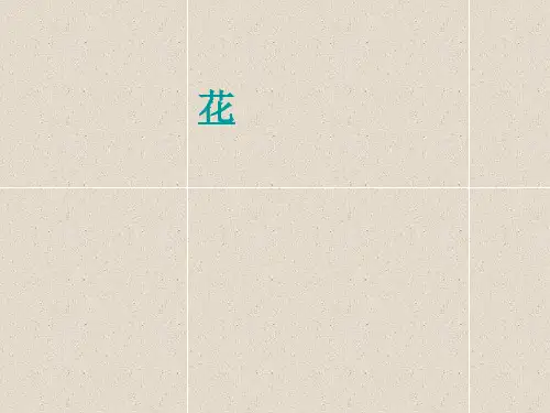 苏科版初中生物八上第七单元19.1《植物的生殖》课件(24张) (2)(共24张PPT)