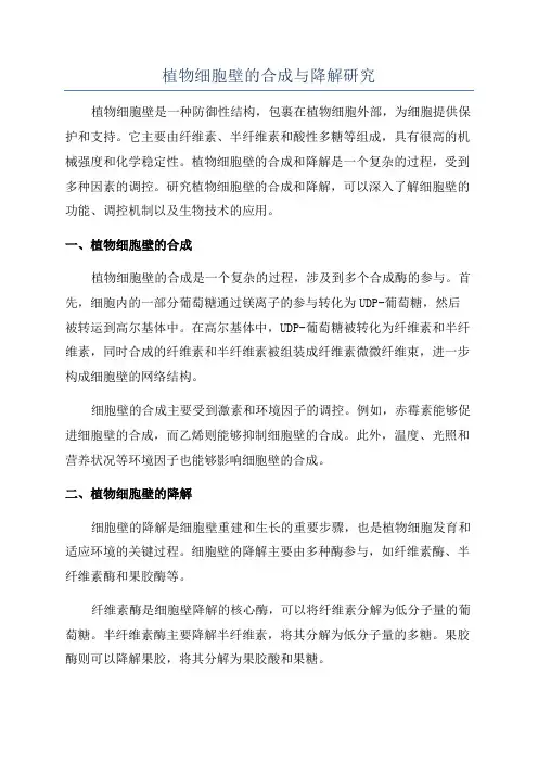 植物细胞壁的合成与降解研究