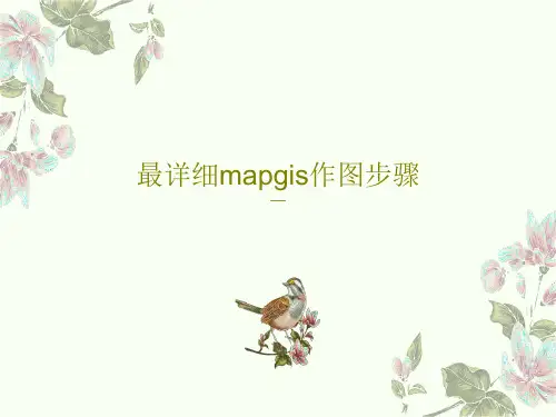 最详细mapgis作图步骤39页PPT
