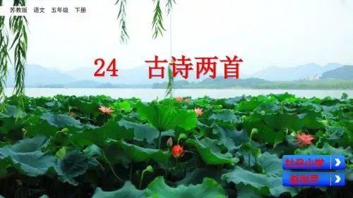 五年级下册语文课件-24 古诗两首 苏教版(共56张PPT)