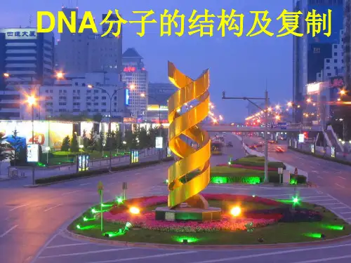 人教版高中生物必修2第3章第2节 DNA分子的结构(共27张PPT)