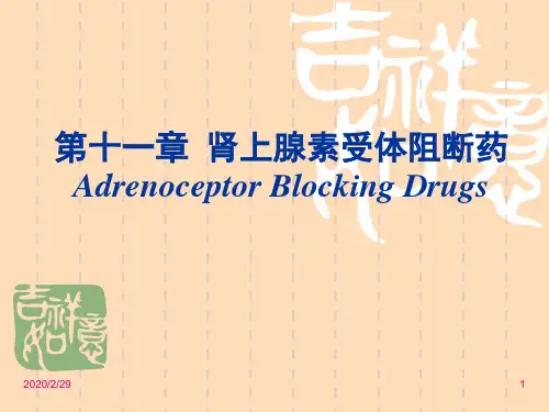 β受体阻断药