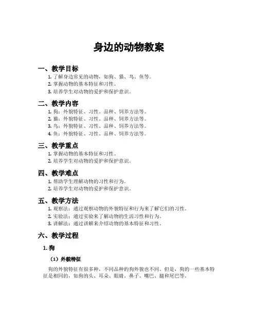 身边的动物教案