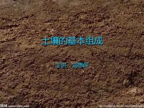 土壤的基本组成