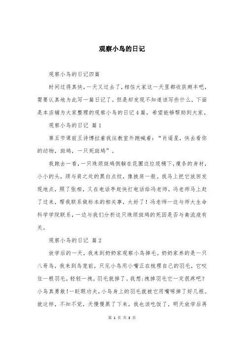 观察小鸟的日记