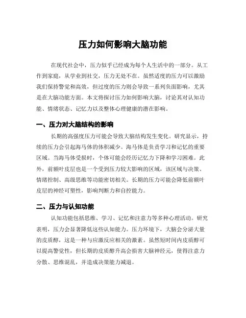 压力如何影响大脑功能