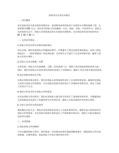招标项目自查自纠报告