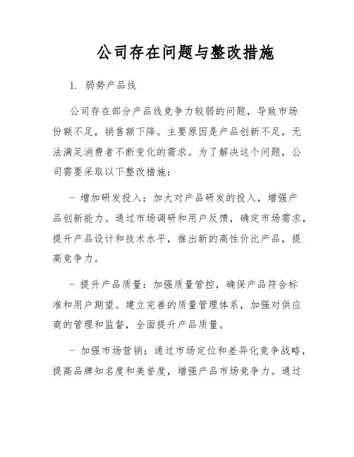 公司存在问题与整改措施