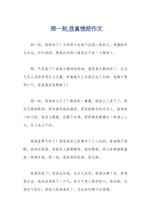 那一刻,我真愤怒作文