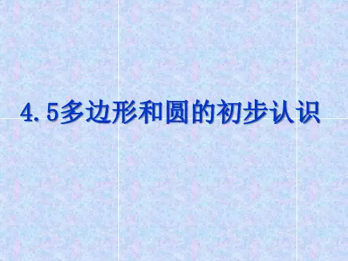 北师大版2020-2021学年七年级数学上册4.5 多边形和圆的初步认识公开课课件