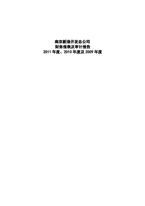 南京新港开发总公司XXXX-XX年度财务报表及审计报告