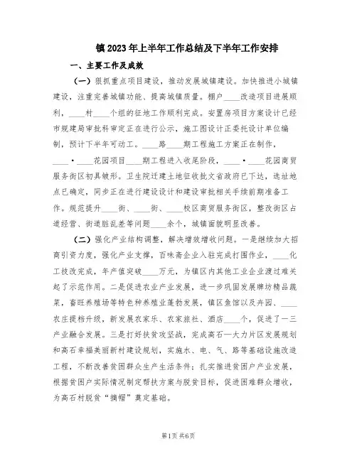 镇2023年上半年工作总结及下半年工作安排(2篇)
