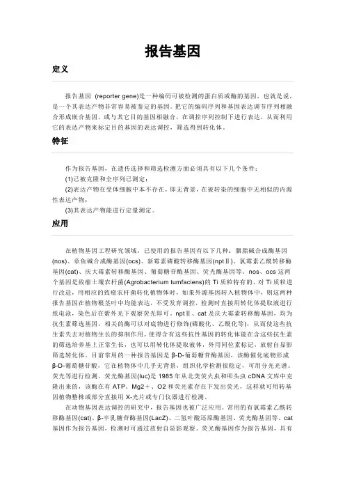 报告基因