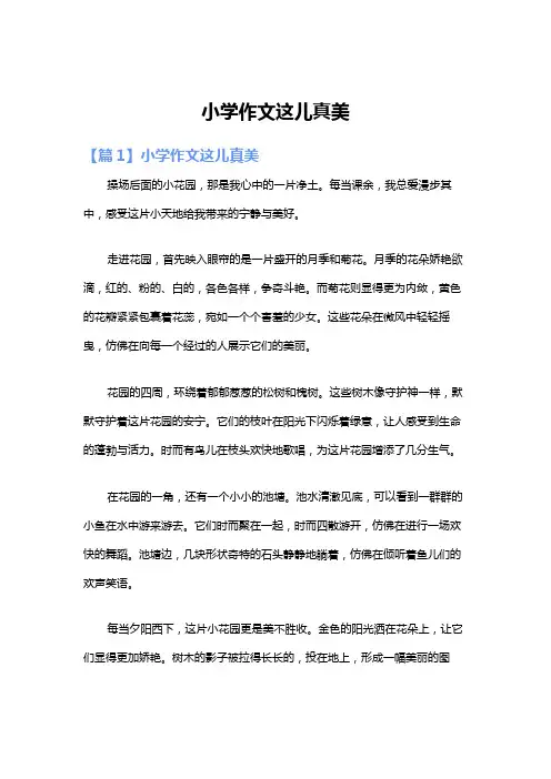小学作文这儿真美