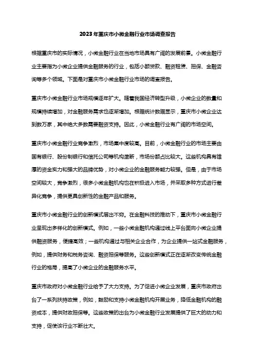 2023年重庆市小微金融行业市场调查报告