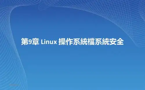 《操作系统安全》第九章_Linux_操作系统文件系统安全