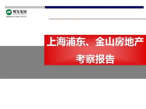 上海浦东金山房地产考察报告提报