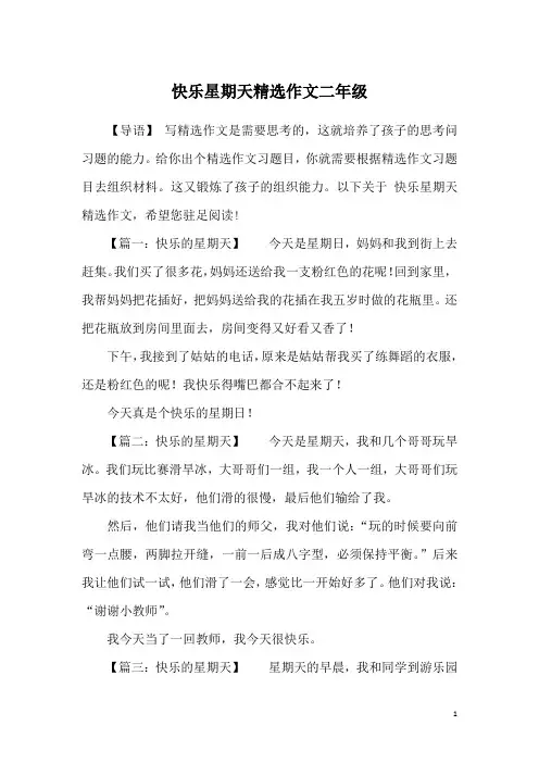 快乐星期天精选作文二年级