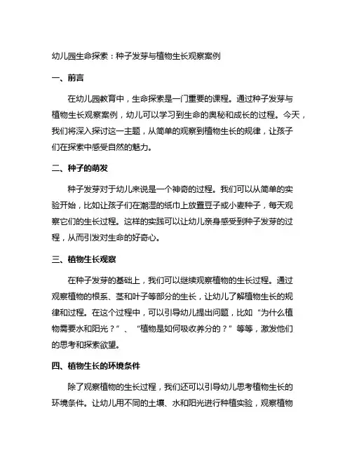 幼儿园生命探索：种子发芽与植物生长观察案例