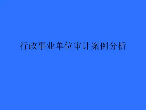 行政事业单位审计案例分析
