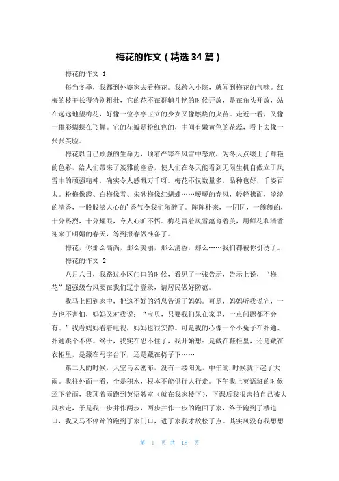 梅花的作文(精选34篇)