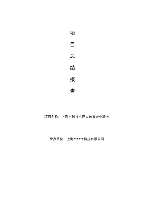 上海市培育型小巨人企业总结报告模版1