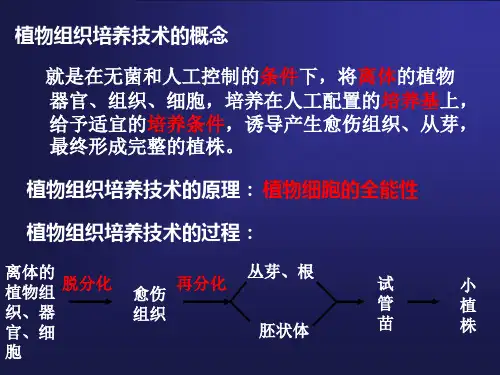 植物细胞悬浮培养技术