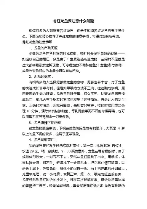 养红龙鱼要注意什么问题