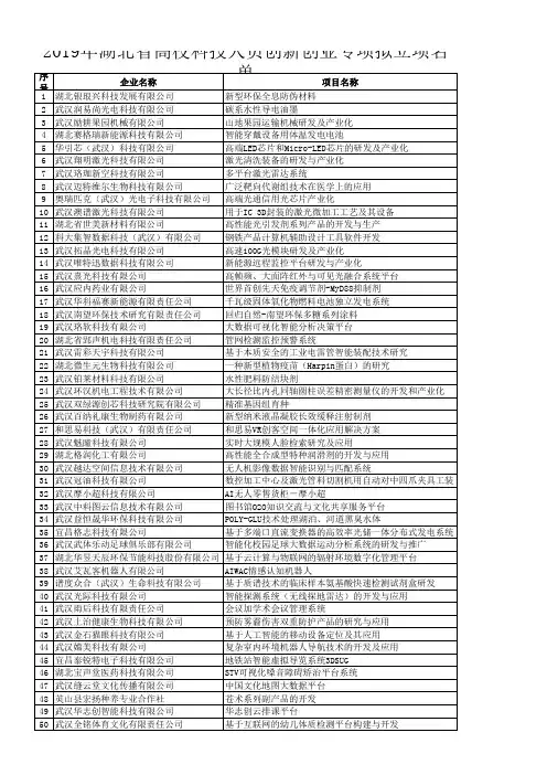 2019年湖北省高校科技人员创新创业专项项目