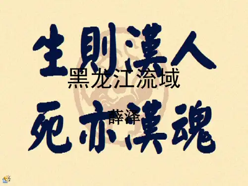 黑龙江流域