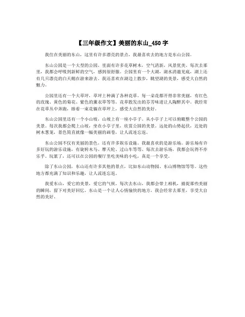 【三年级作文】美丽的东山_450字