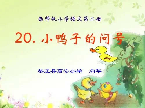 小学语文小鸭子的问号精品PPT课件