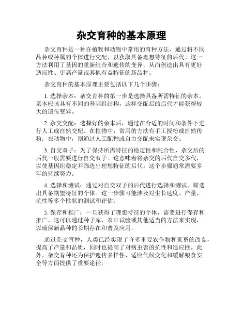 杂交育种的基本原理