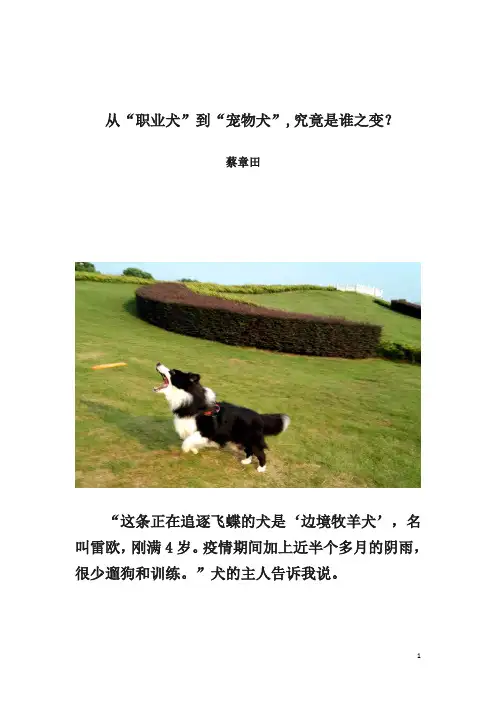 从“职业犬”到“宠物犬”,究竟是谁之变？