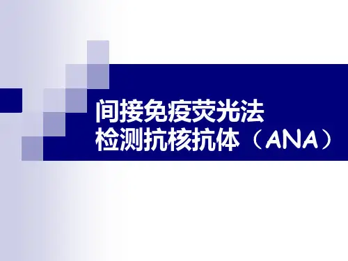 间接免疫荧光法测ANA