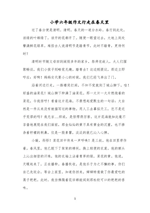 小学六年级作文行走在春天里