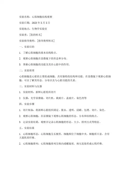 组胚实验报告心肌