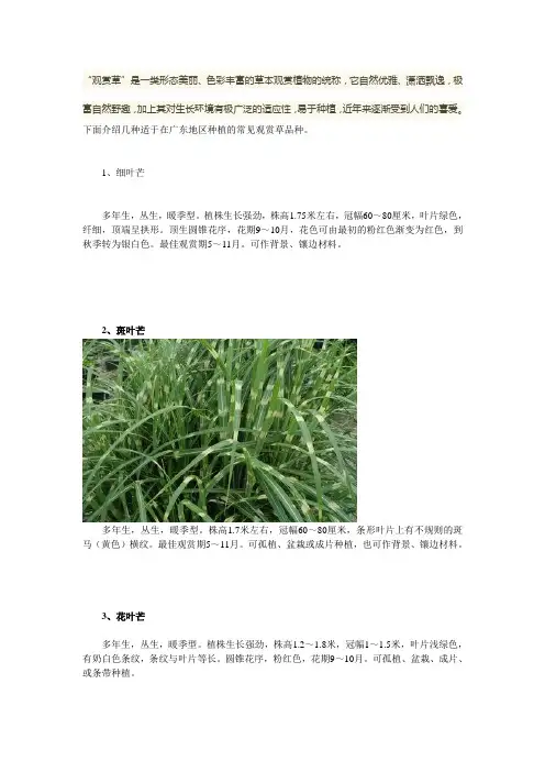 观赏草”一些认知【自然优雅、潇洒飘逸,极富自然野趣】