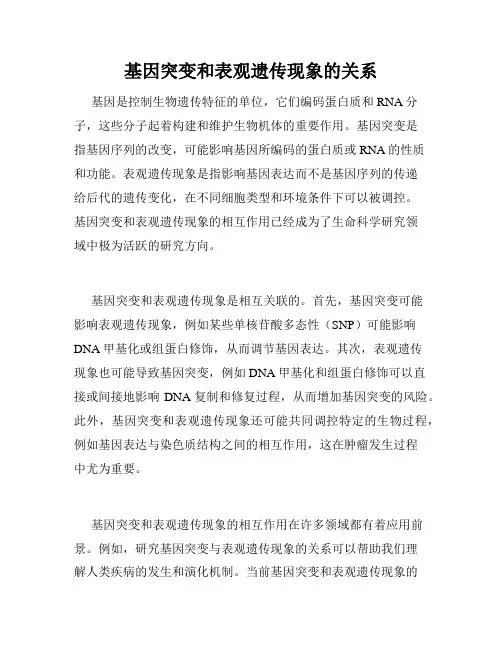 基因突变和表观遗传现象的关系
