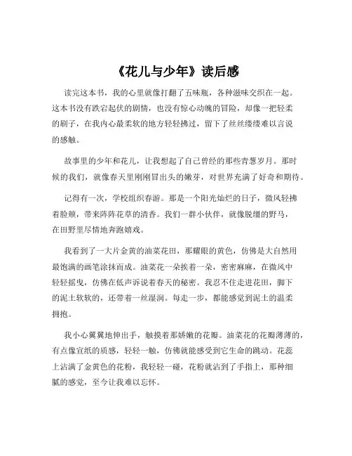 《花儿与少年》读后感