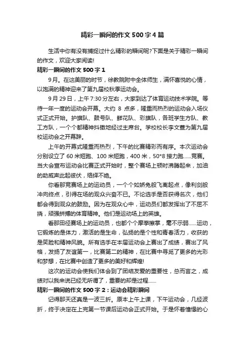 精彩一瞬间的作文500字4篇