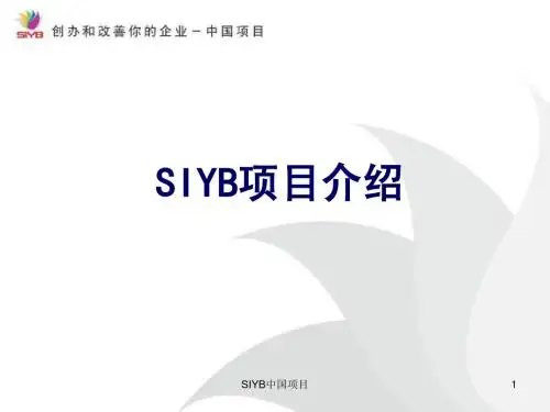 SIYB项目介绍