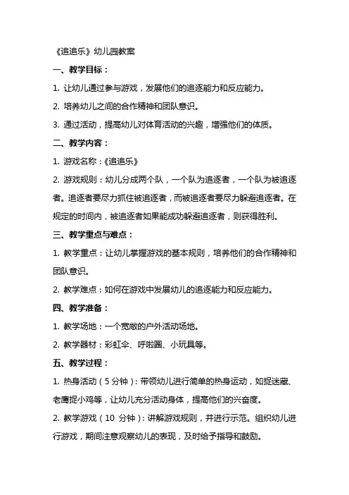 《追追乐》幼儿园教案