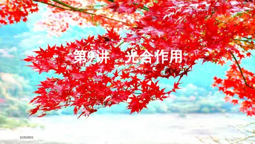 高考生物一轮复习第3单元第9讲光合作用课件高三全册生物课件
