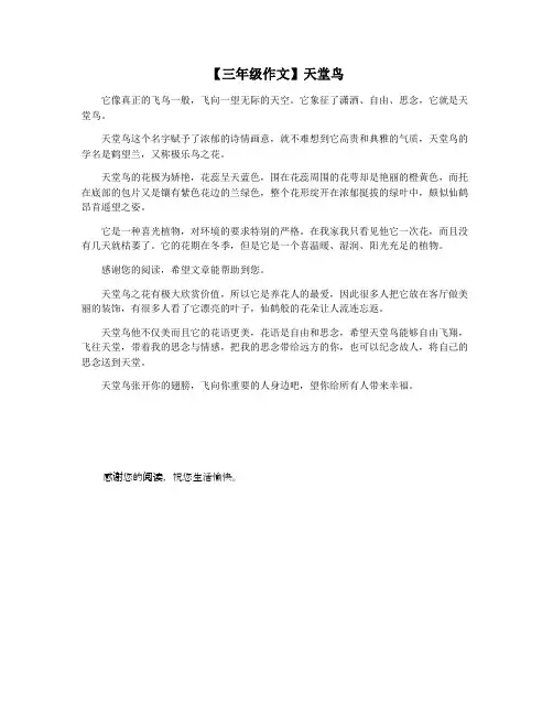 【三年级作文】天堂鸟
